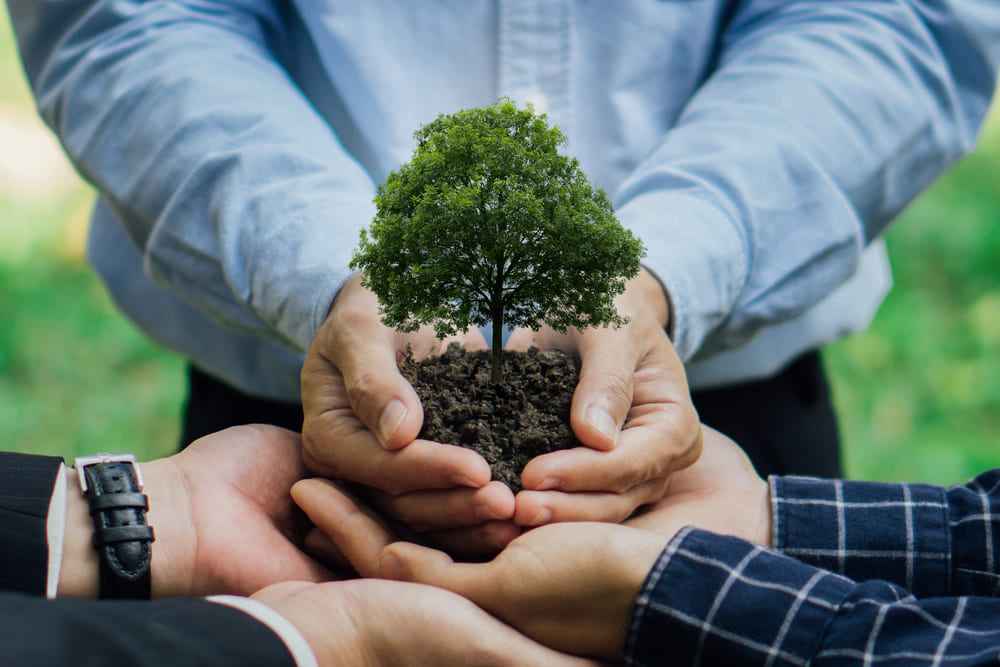 responsabilidad medioambiental como eje estratégico en Centria Group