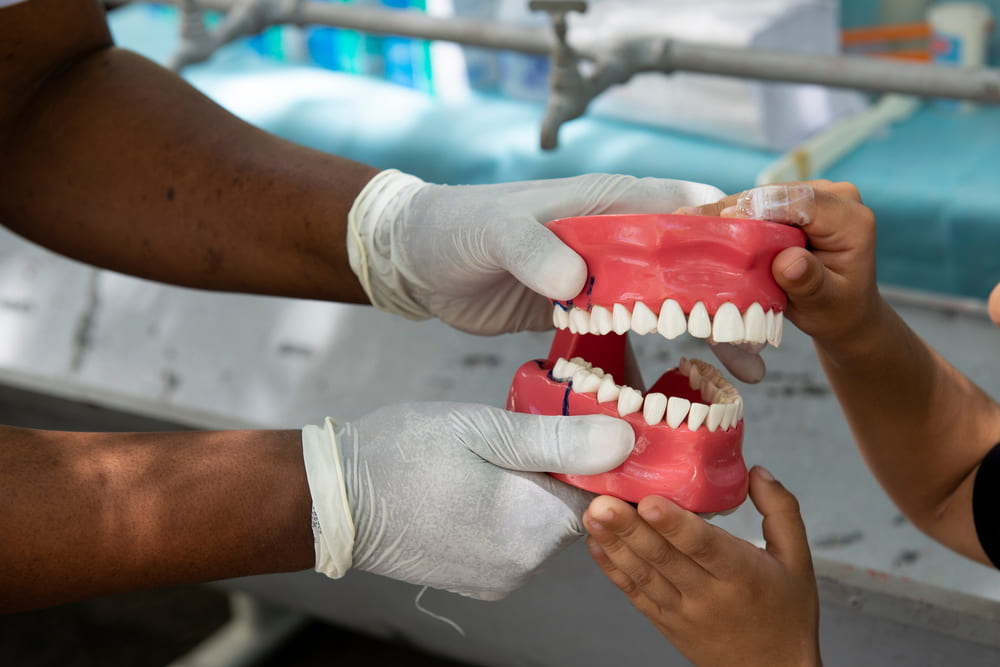 cursar la carrera de odontología
