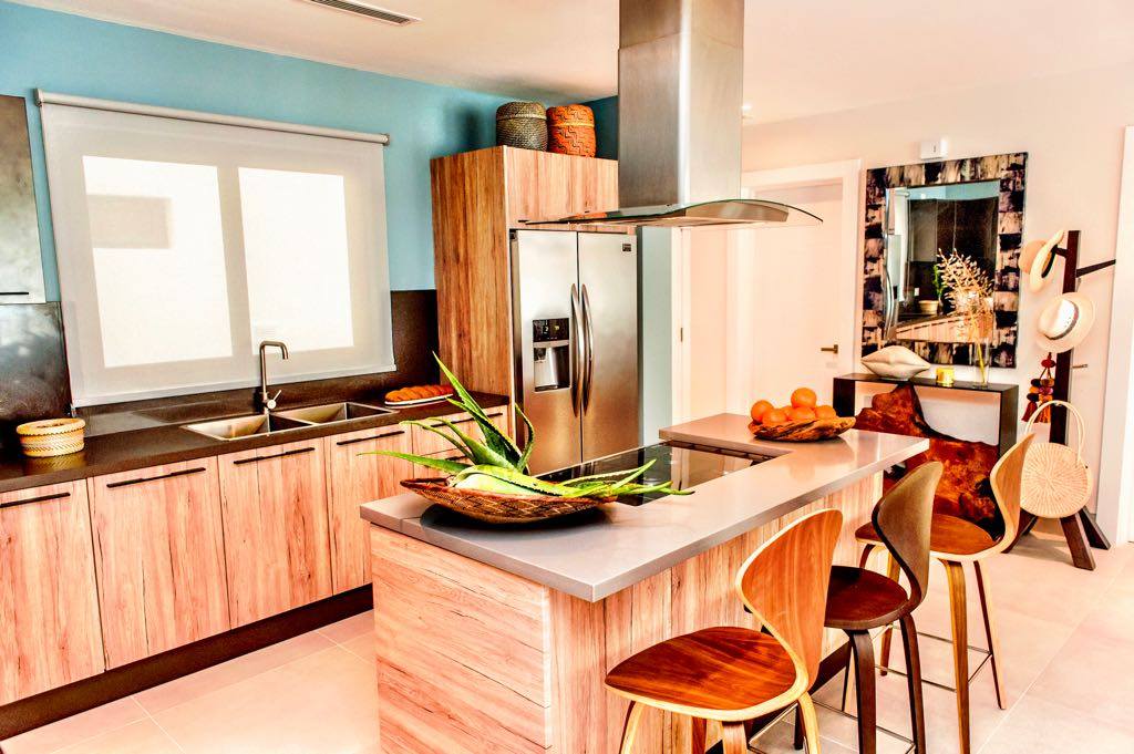 Aides RealEstate Cap Cana