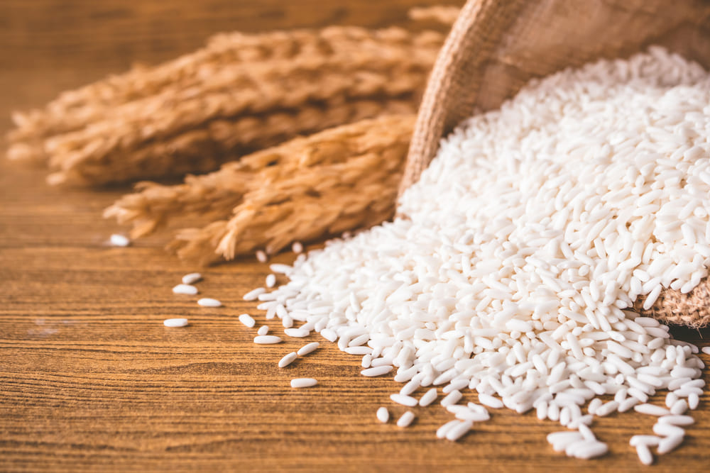 Arroz y proteínas vegetales