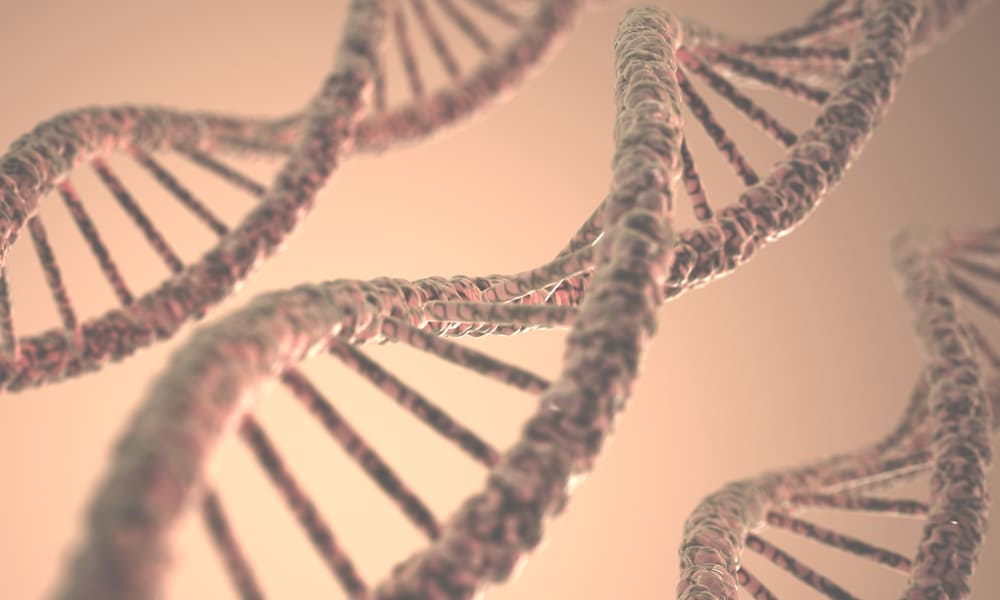 Biología Molecular y Genética