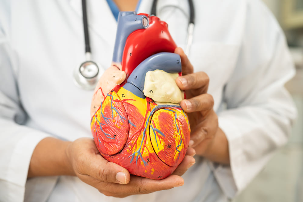 La relevancia de las evaluaciones médicas en Guatemala en la prevención de enfermedades del corazón