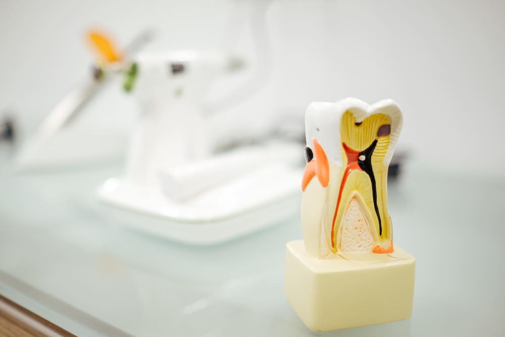 Guía esencial de periodoncia en Panamá para la prevención de problemas gingivales